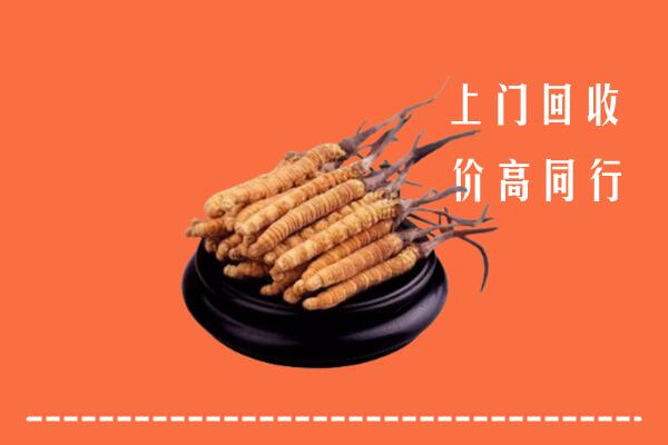 高价求购：常州武进回收散虫草
