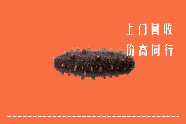 高价求购：常州武进回收海参