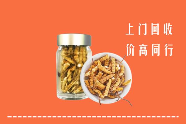 常州武进回收冬虫夏草