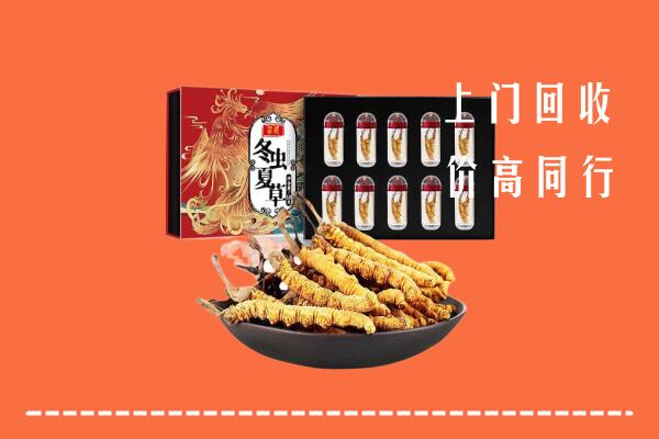 常州武进回收虫草